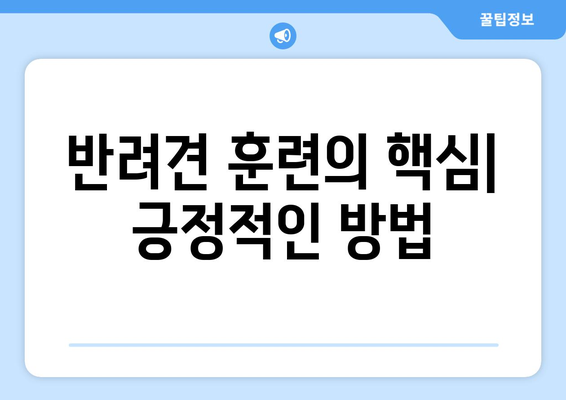 반려견을 위한 긍정적인 훈육 방법