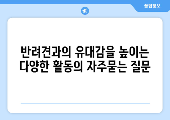 반려견과의 유대감을 높이는 다양한 활동