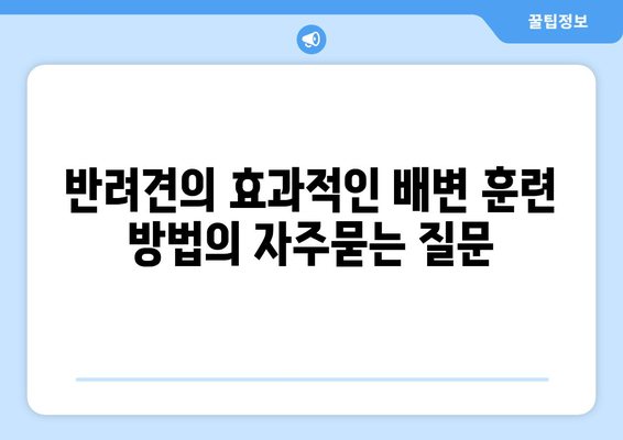 반려견의 효과적인 배변 훈련 방법