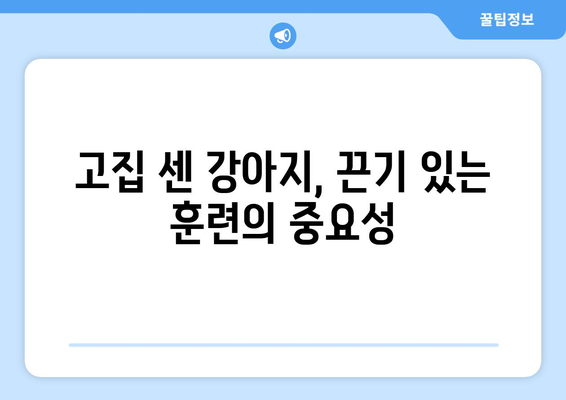 반려견 성격에 맞는 훈련 기법