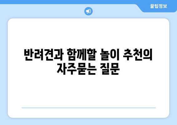 반려견과 함께할 놀이 추천