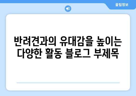 반려견과의 유대감을 높이는 다양한 활동