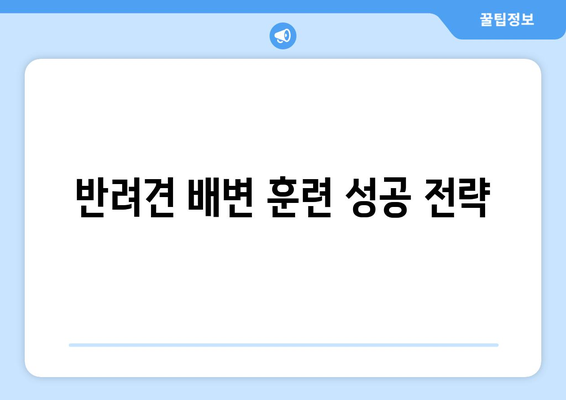 반려견의 효과적인 배변 훈련 방법