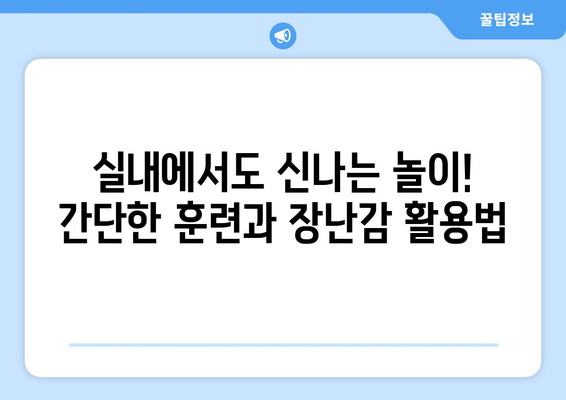 반려견과 함께할 놀이 추천