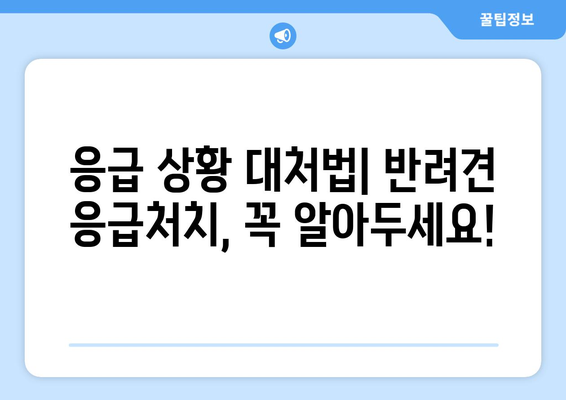 반려견 질병 징후와 대처 방법