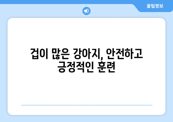 반려견 성격에 맞는 훈련 기법