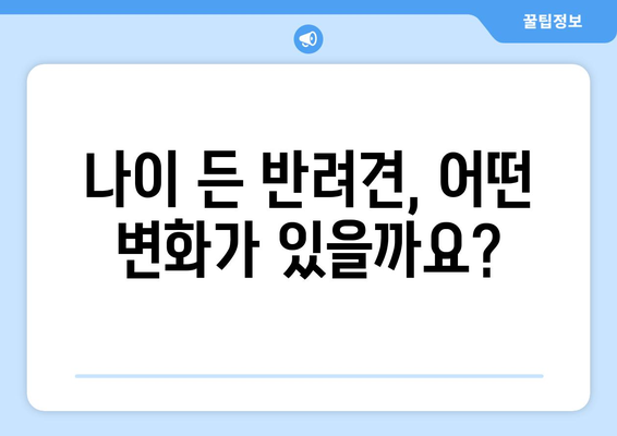 반려견의 노화 증상과 관리법