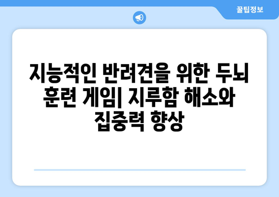 반려견과 함께할 놀이 추천