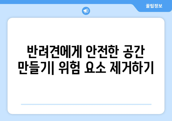 반려견의 안전한 집안 환경 만들기