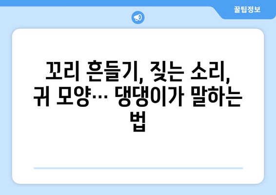 반려견의 감정 표현 이해하기