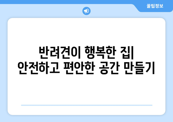 반려견의 안전한 집안 환경 만들기