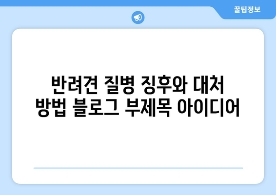 반려견 질병 징후와 대처 방법