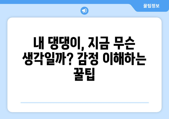 반려견의 감정 표현 이해하기