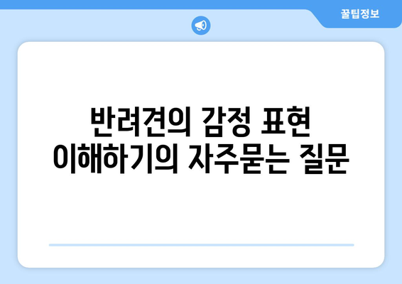 반려견의 감정 표현 이해하기