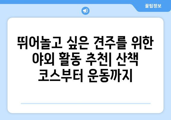 반려견과 함께할 놀이 추천